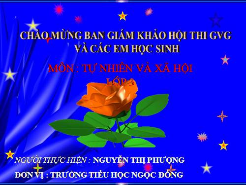 Bài 30. Hoạt động nông nghiệp