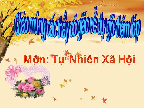 Bài 9. Phòng bệnh tim mạch