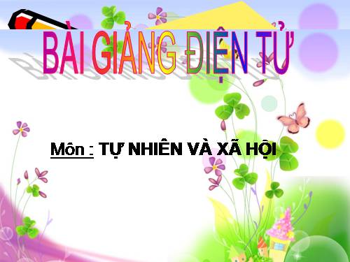 Bài 6. Máu và cơ quan tuần hoàn