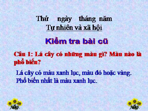 Bài 46. Khả năng kì diệu của lá cây