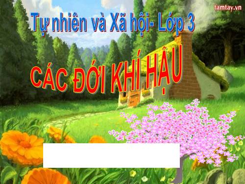 Bài 65. Các đới khí hậu