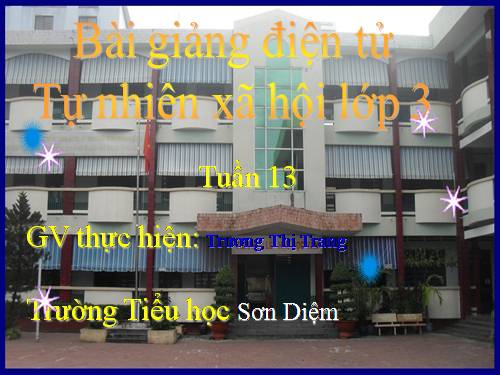 Bài 26. Không chơi các trò chơi nguy hiểm