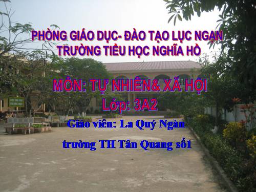 Bài 27-28. Tỉnh (thành phố) nơi bạn đang sống