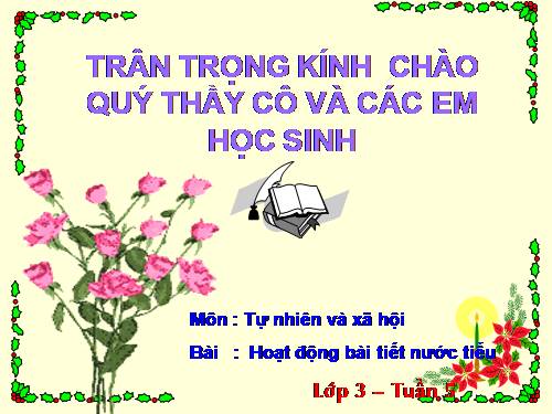 Bài 10. Hoạt động bài tiết nước tiểu