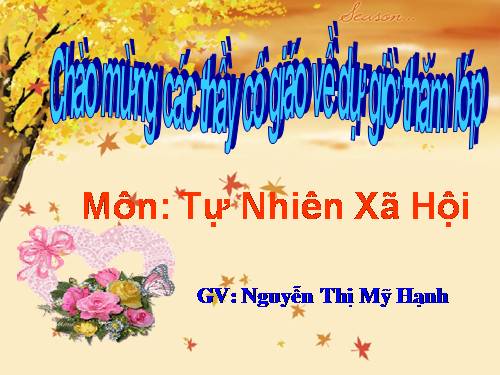 Bài 9. Phòng bệnh tim mạch