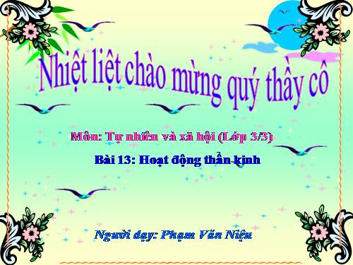 Bài 13. Hoạt động thần kinh