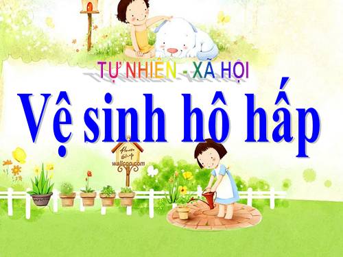 Bài 3. Vệ sinh hô hấp