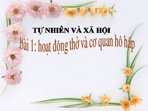 Bài 1. Hoạt động thở và cơ quan hô hấp