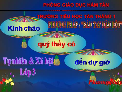 Bài 48. Quả