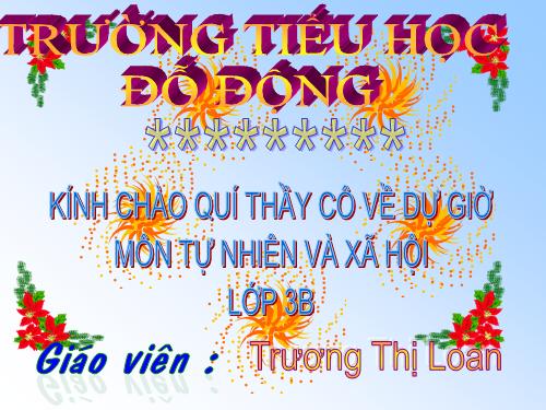 Bài 19. Các thế hệ trong một gia đình