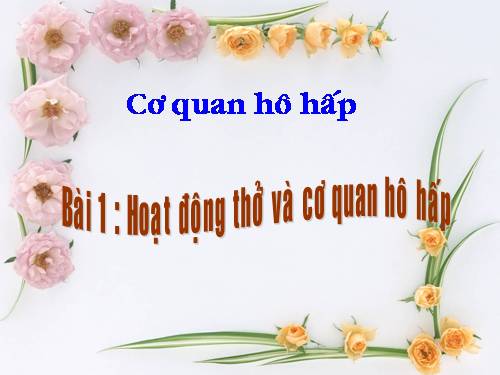 Bài 1. Hoạt động thở và cơ quan hô hấp