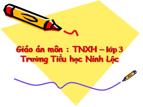 Bài 14. Hoạt động thần kinh (tiếp theo)