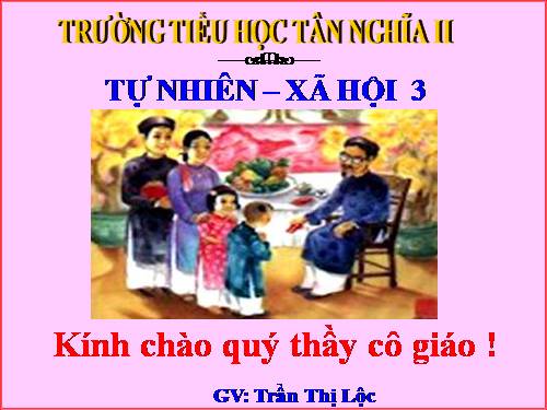 Bài 19. Các thế hệ trong một gia đình