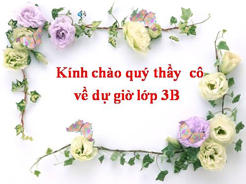 Bài 48. Quả