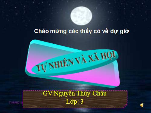 Bài 63. Ngày và đêm trên Trái Đất