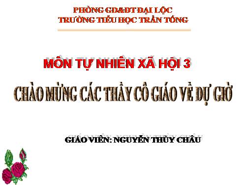 Bài 48. Quả