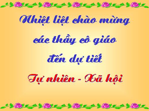 Bài 19. Các thế hệ trong một gia đình