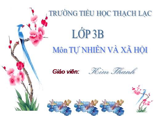 Bài 62. Mặt Trăng là vệ tinh của Trái Đất