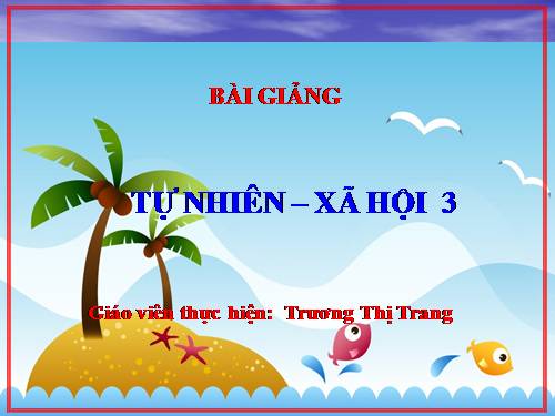 Bài 63. Ngày và đêm trên Trái Đất