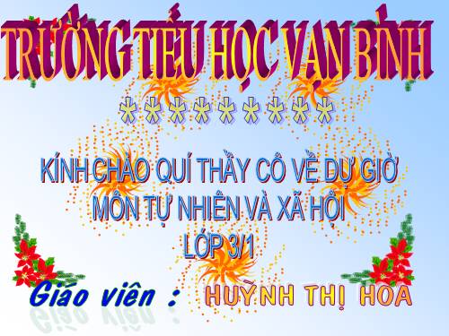 Bài 19. Các thế hệ trong một gia đình