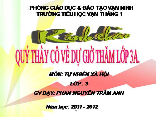 Bài 41. Thân cây