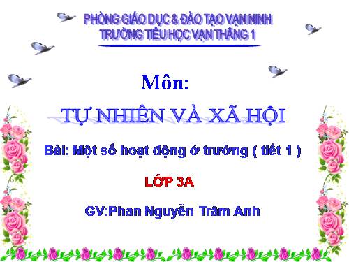 Bài 24. Một số hoạt động ở trường