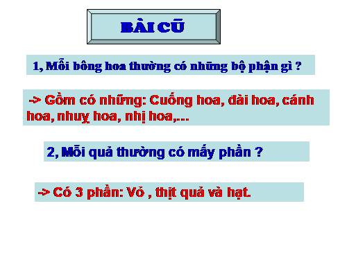 Bài 50. Côn trùng