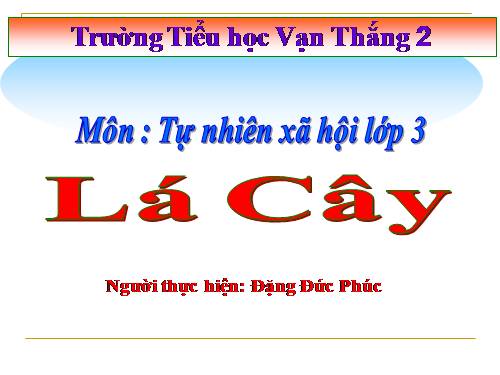 Bài 45. Lá cây