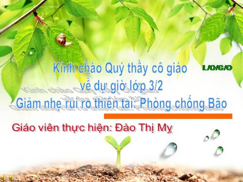 Giảm nhẹ rủi ro thiên tai: Bão