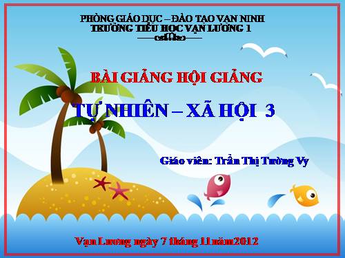 Bài 19. Các thế hệ trong một gia đình