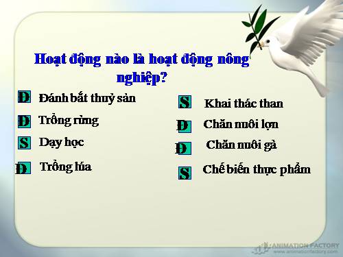 Bài 30. Hoạt động nông nghiệp