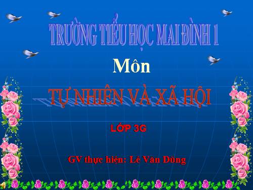 Bài 24. Một số hoạt động ở trường