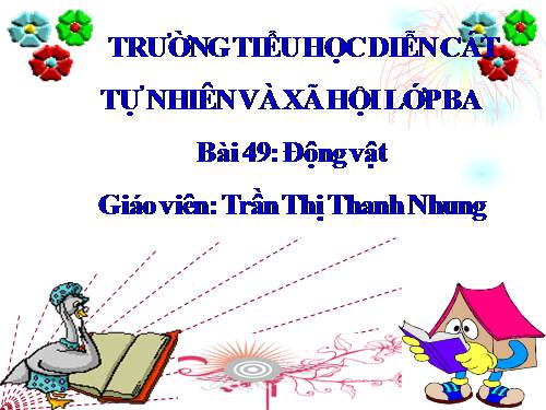 Bài 49. Động vật