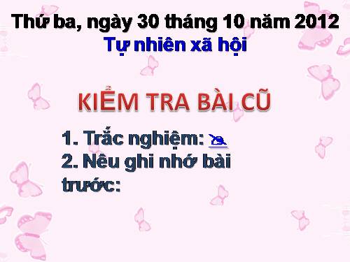 Bài 50. Côn trùng