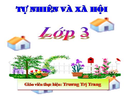 Bài 46. Khả năng kì diệu của lá cây