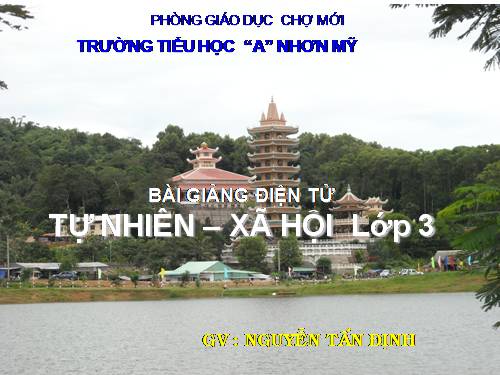 Bài 19. Các thế hệ trong một gia đình