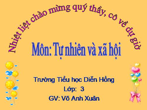 Bài 40. Thực vật