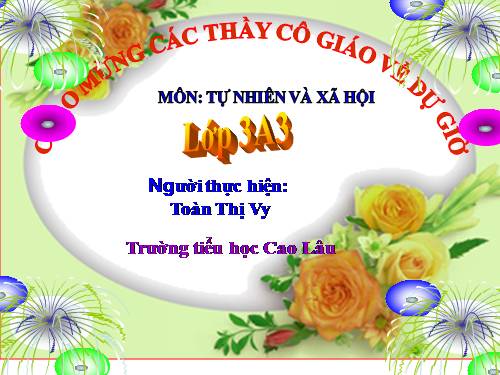 Bài 40. Thực vật