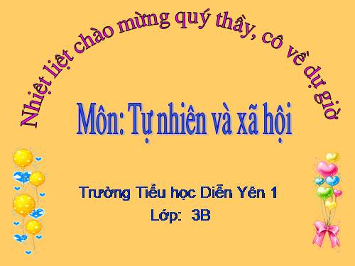 Bài 40. Thực vật