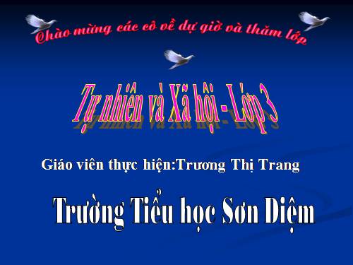 Bài 49. Động vật