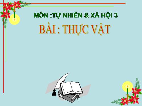 Bài 40. Thực vật