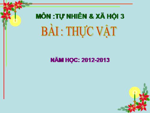 Bài 40. Thực vật