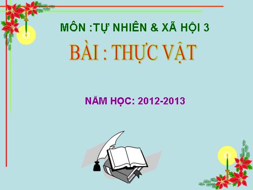 Bài 40. Thực vật