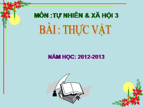 Bài 40. Thực vật