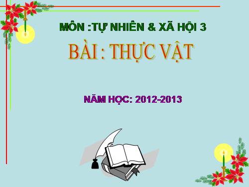 Bài 40. Thực vật