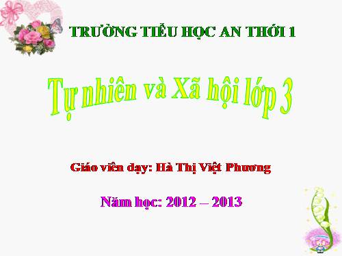 Bài 40. Thực vật