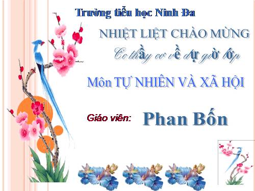 Bài 11. Vệ sinh cơ quan bài tiết nước tiểu