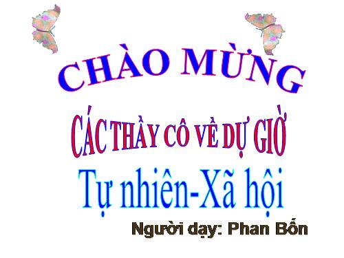 Bài 30. Hoạt động nông nghiệp