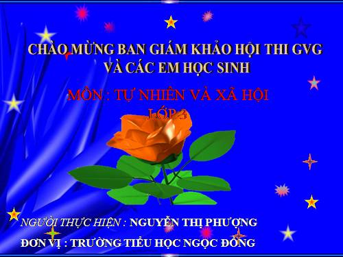 Bài 30. Hoạt động nông nghiệp