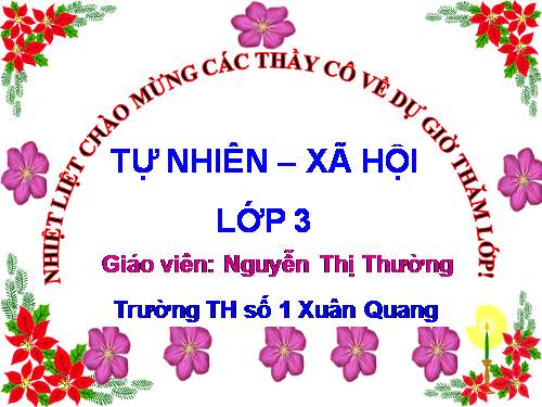 Bài 33. An toàn khi đi xe đạp